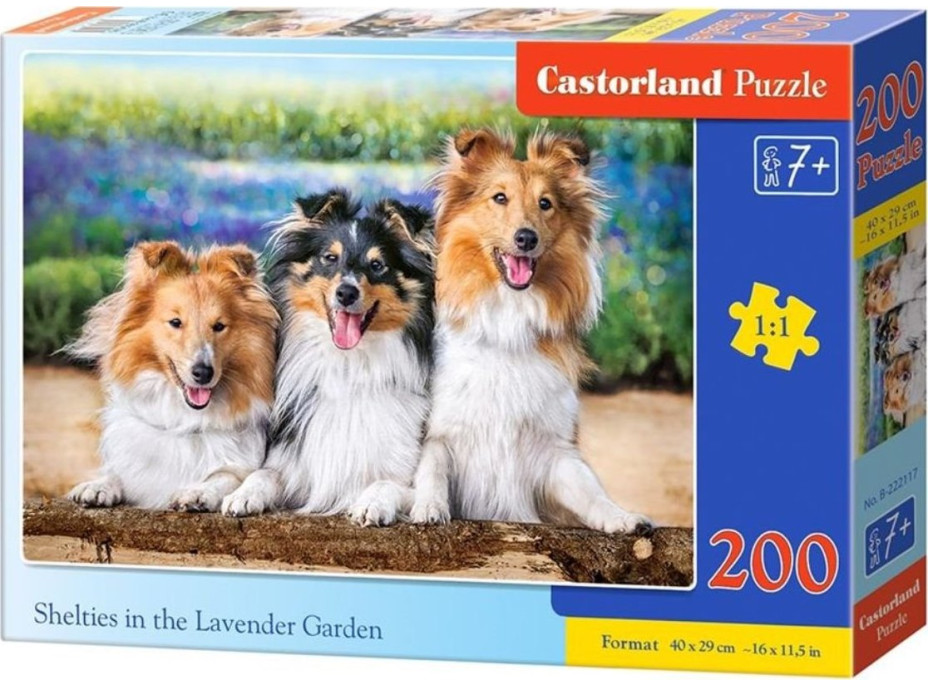 CASTORLAND Puzzle Sheltie v levandulové zahradě 200 dílků