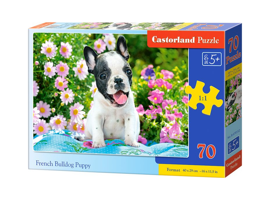 CASTORLAND Puzzle Štěně Francouzského buldočka 70 dílků