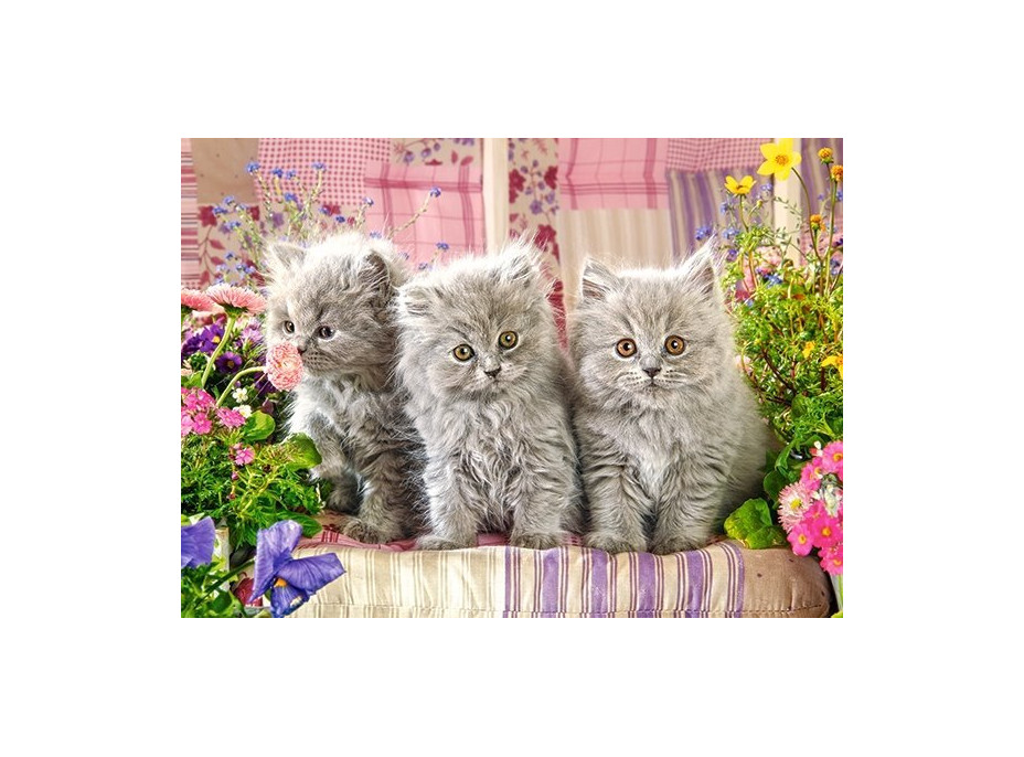 CASTORLAND Puzzle Tři šedivá koťata 300 dílků