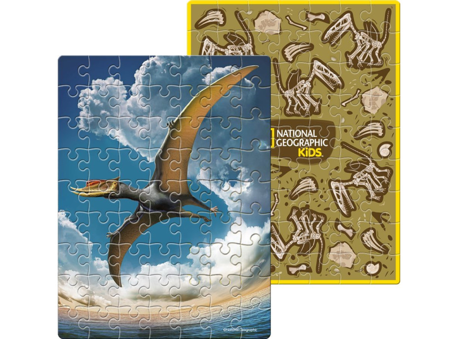 CUBICFUN Oboustranné puzzle ve vejci National Geographic: Pterosaur 63 dílků