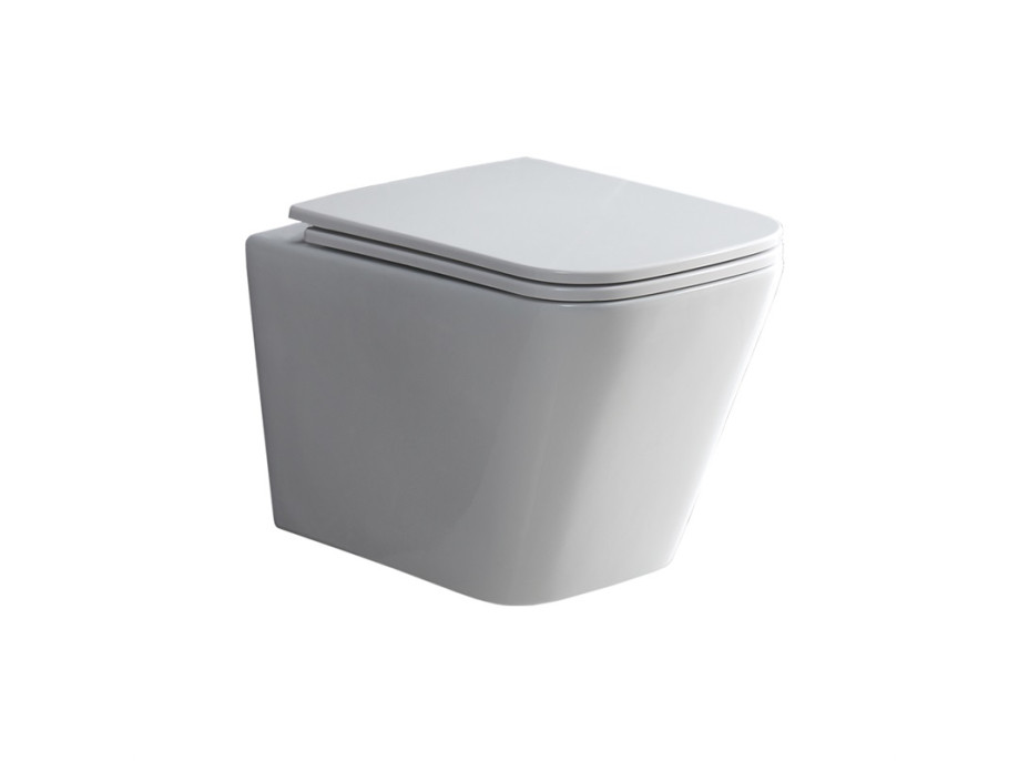 Závěsné WC RIMLESS kapotované - 48,5x34x35,5 cm - bílé + Duroplast sedátko slim