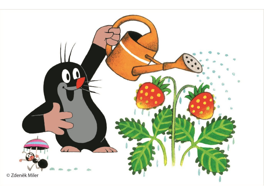 DINO Obrázkové kostky Krtek, 6 kostek