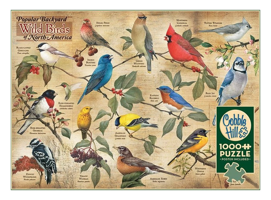 COBBLE HILL Puzzle Ptáci ze severoamerických zahrad 1000 dílků