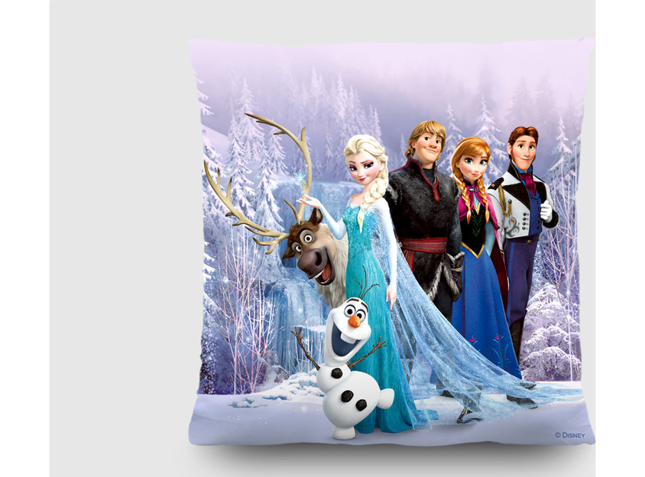 Dětský polštářek DISNEY LEDOVÉ KRÁLOVSTVÍ FROZEN 40x40 cm
