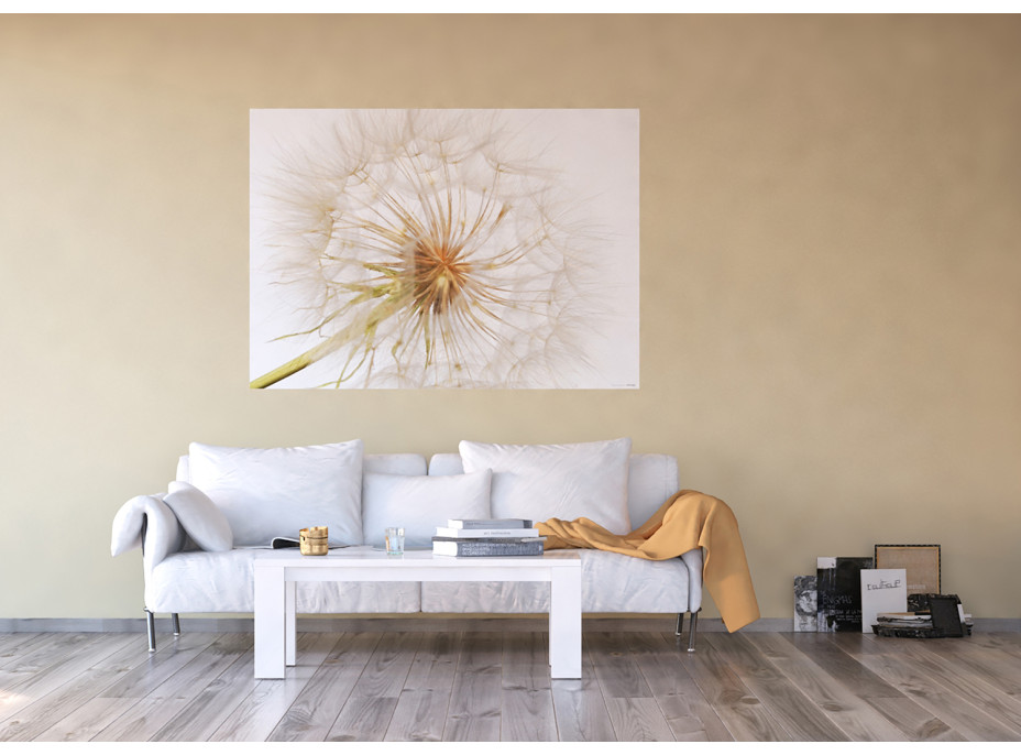Moderní fototapeta - Pampeliška 2 - 155x110 cm