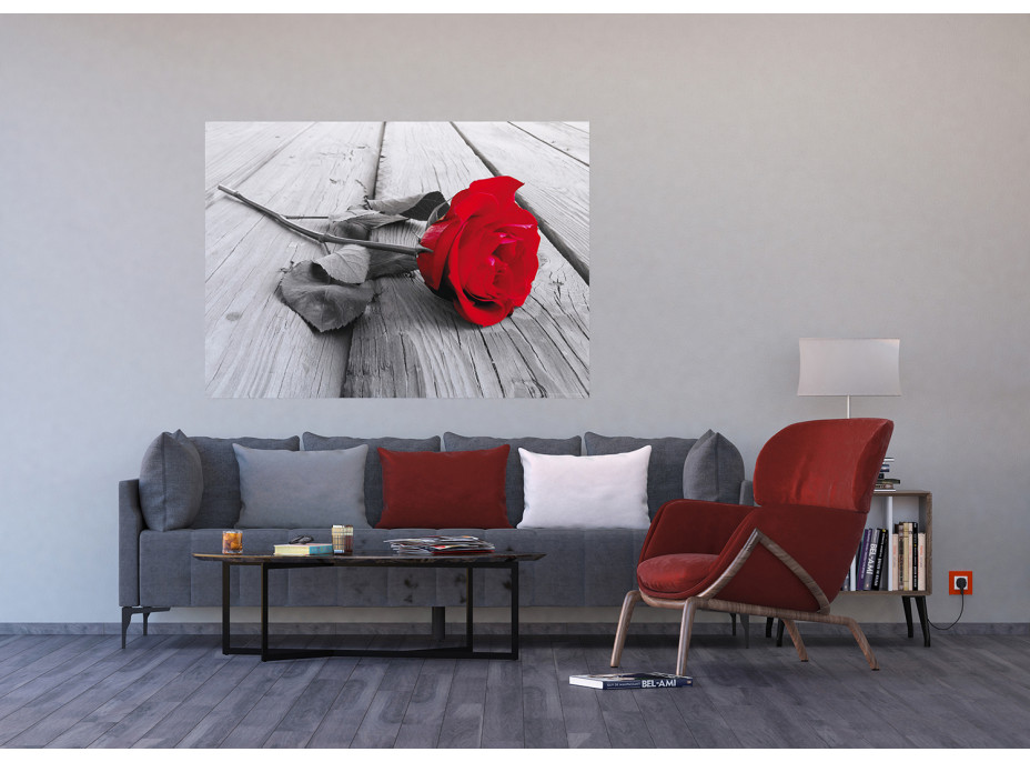 Moderní fototapeta - Červená růže - 155x110 cm