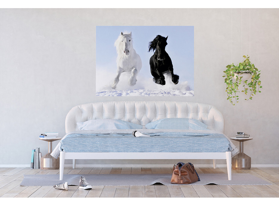 Moderní fototapeta - Běžící koně ve sněhu - 155x110 cm