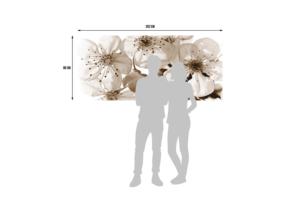 Moderní fototapeta - Květy sakury - černobílé - 202x90 cm