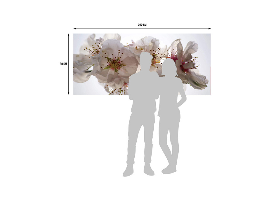 Moderní fototapeta - Květy sakury - 202x90 cm