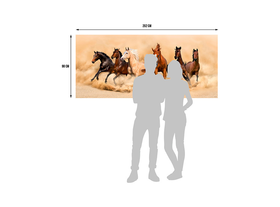 Moderní fototapeta - Závod ušlechtilých koní - 202x90 cm