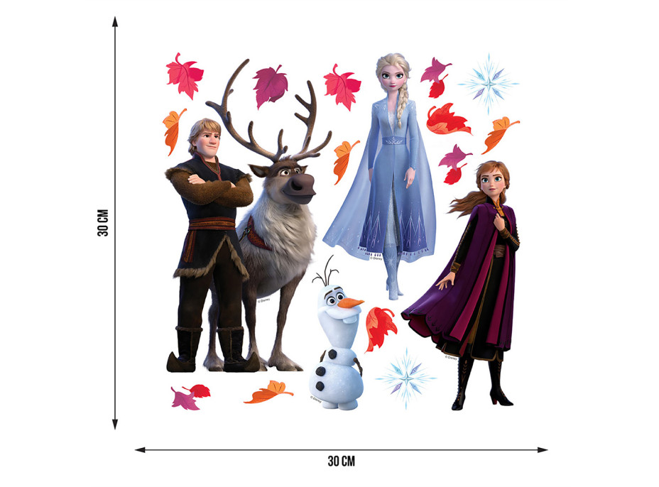 Dětská samolepka DISNEY FROZEN 2 s lístky 30x30 cm