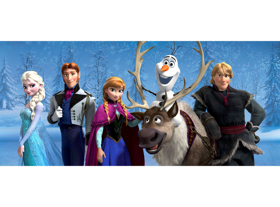 Dětská fototapeta DISNEY - FROZEN - 202x90 cm