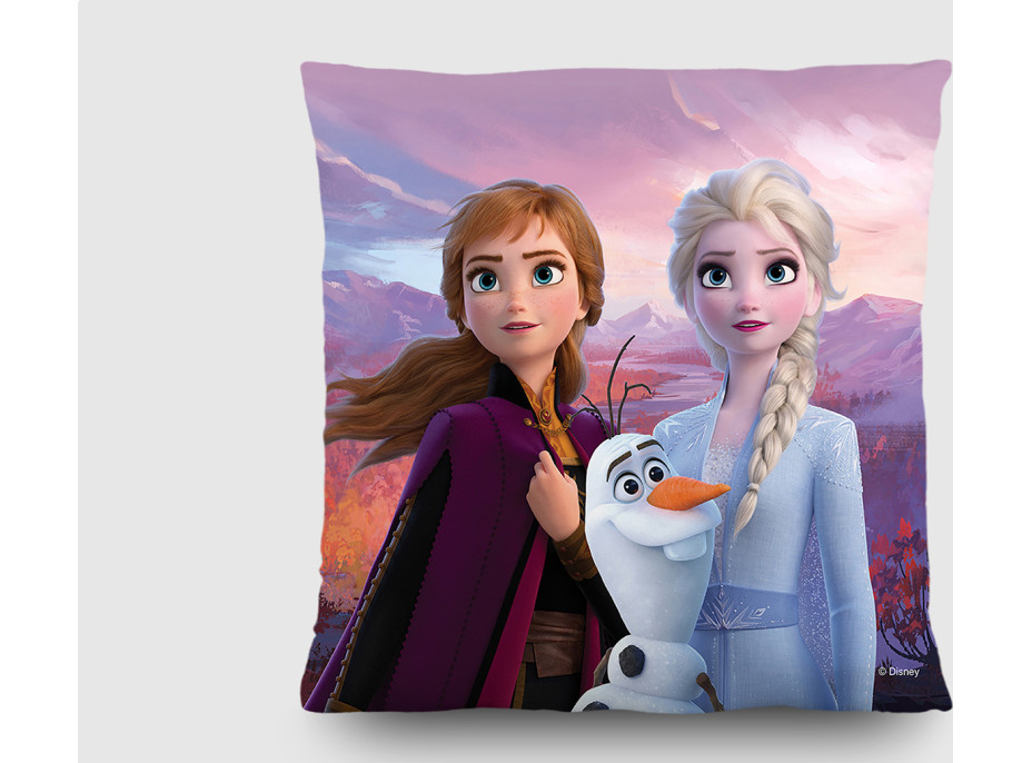Dětský polštářek FROZEN 2 40x40 cm