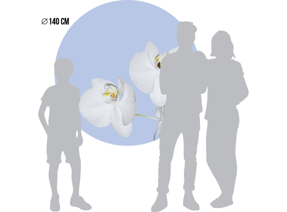 Moderní fototapeta - Orchidej na modrém pozadí - kulatá - 140 cm