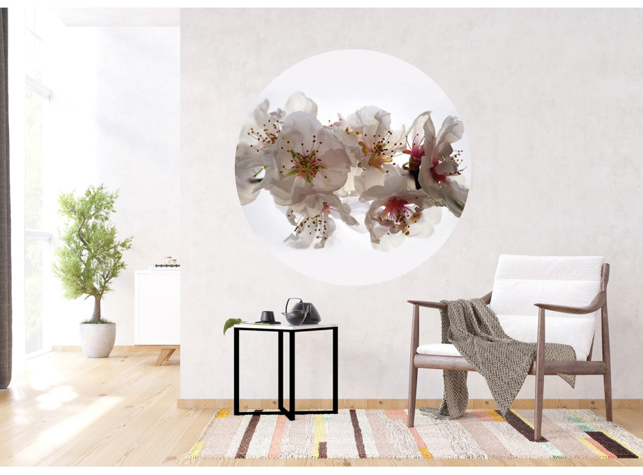 Moderní fototapeta - Květy sakury - kulatá - 140 cm