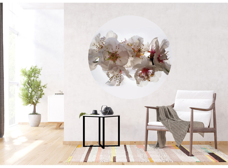 Moderní fototapeta - Květy sakury - kulatá - 140 cm