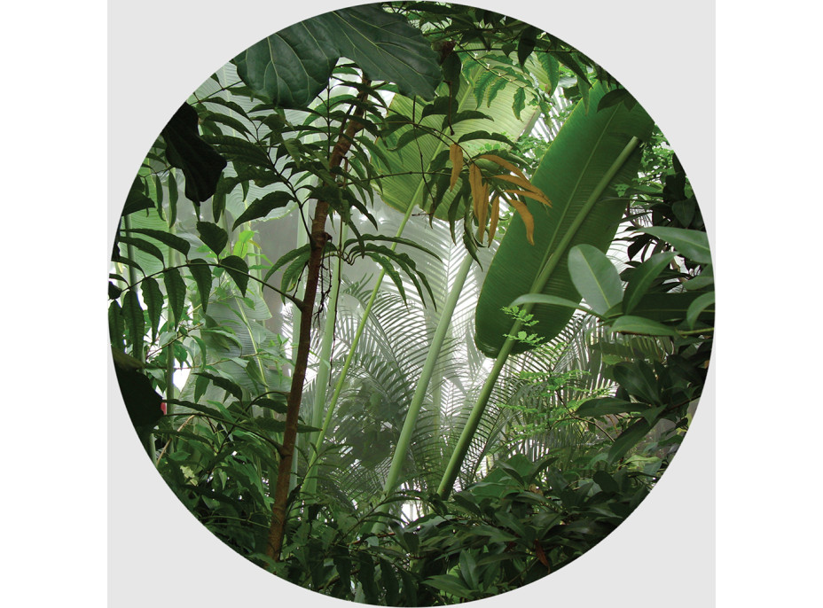 Moderní fototapeta - Tropické rostliny - kulatá - 140 cm