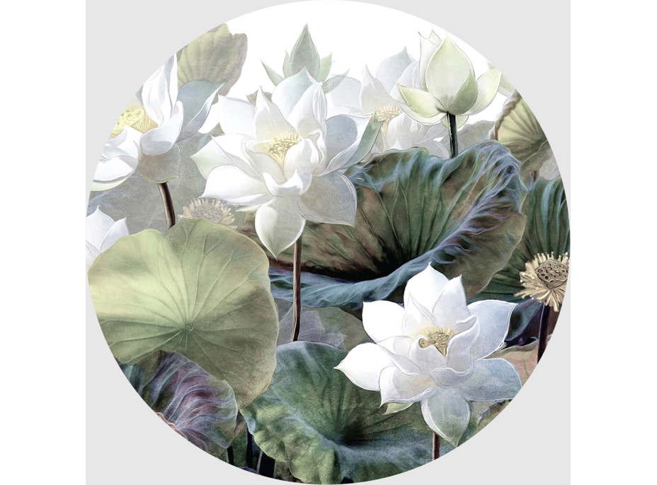Moderní fototapeta - Bílé lotosy - kulatá - 140 cm