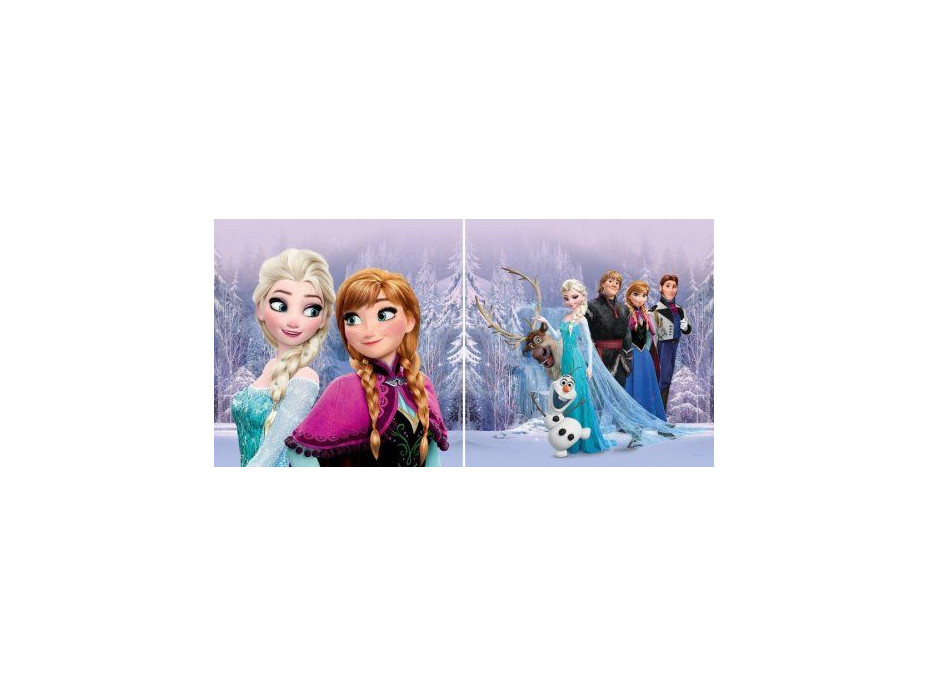 Dětský polštářek DISNEY LEDOVÉ KRÁLOVSTVÍ FROZEN 40x40 cm