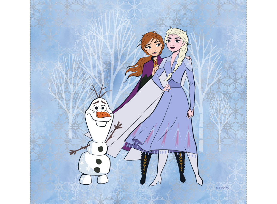 Dětský polštářek FROZEN 2 kreslený 40x40 cm