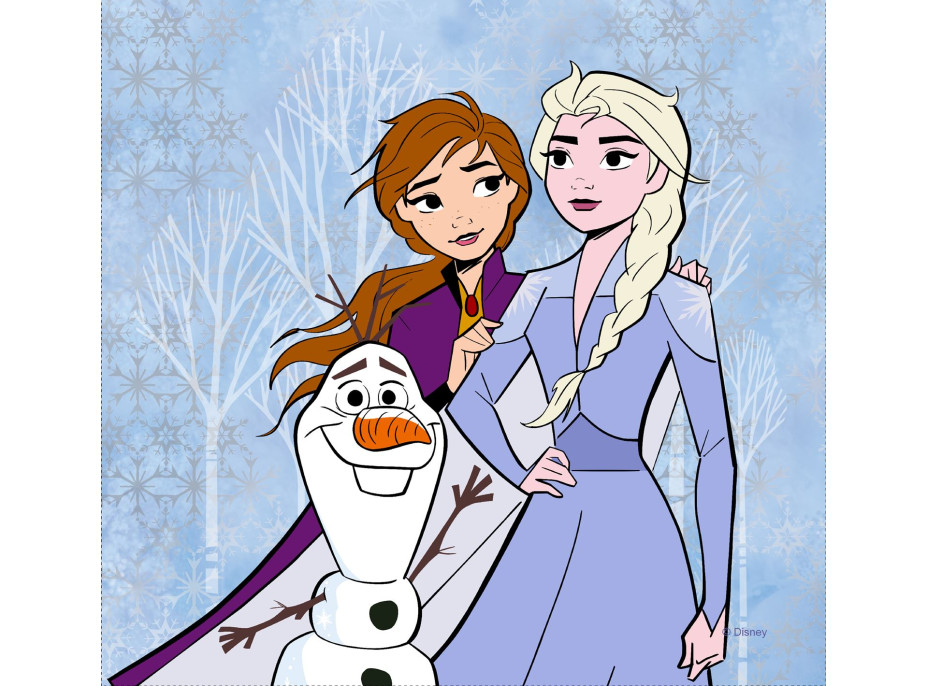 Dětský polštářek FROZEN 2 kreslený 40x40 cm