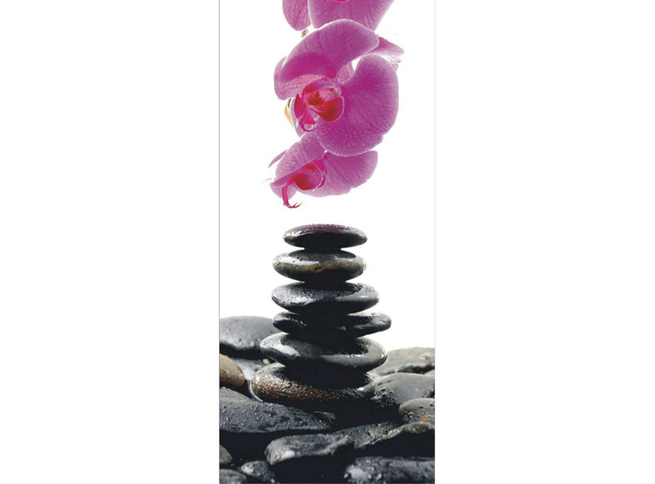 Moderní fototapeta - Orchidej a kameny - 90x202 cm