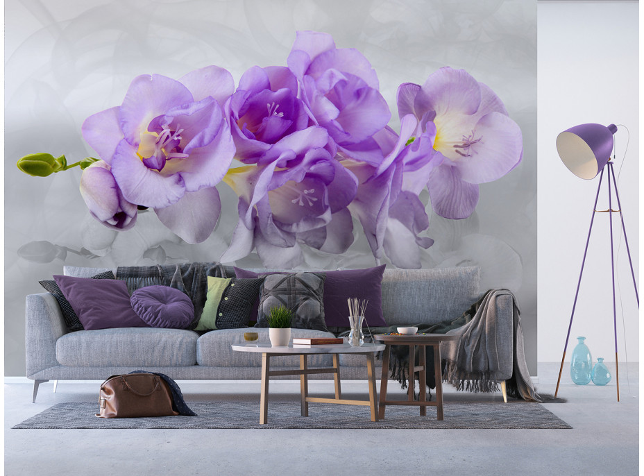 Moderní fototapeta - Něžná orchidej - 360x270 cm