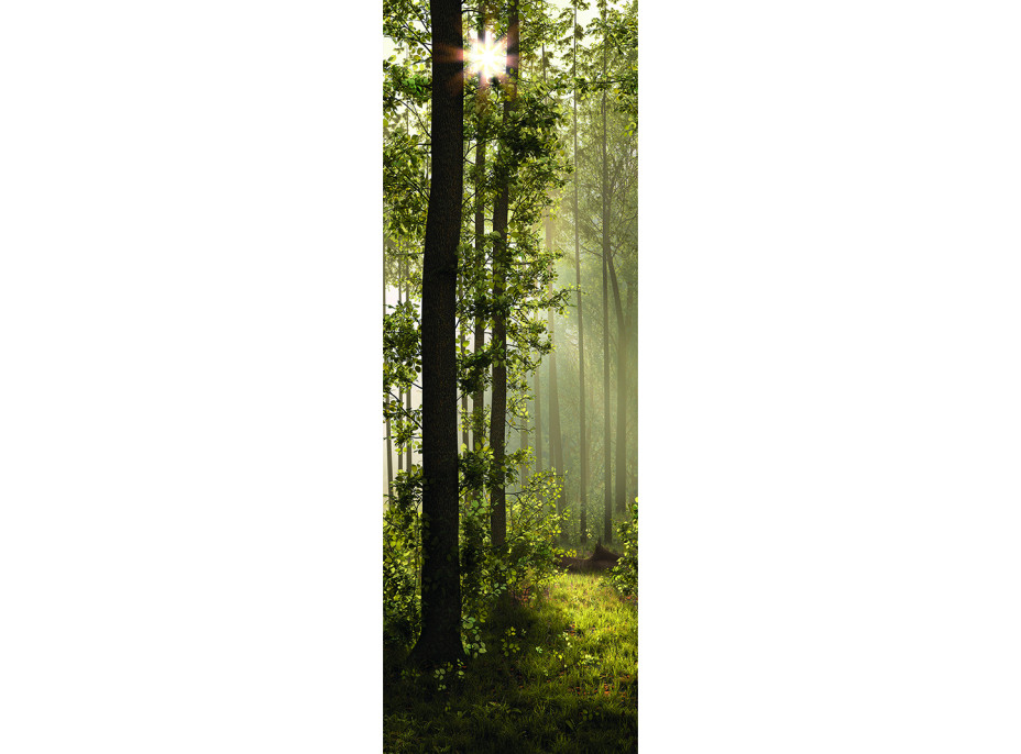Moderní fototapeta - Magický les - 90x270 cm