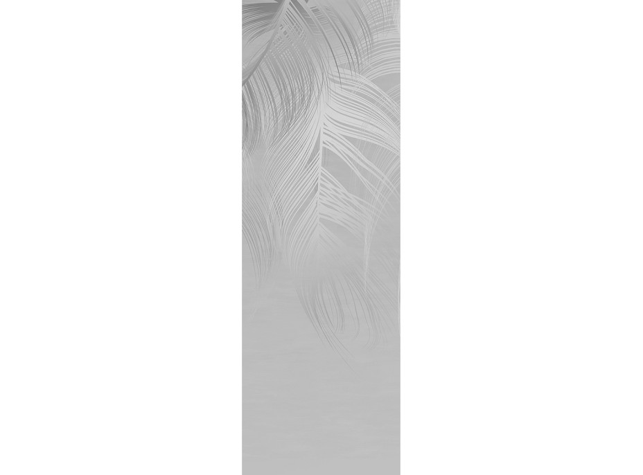 Moderní fototapeta - Peří na šedém podkladu - 90x270 cm