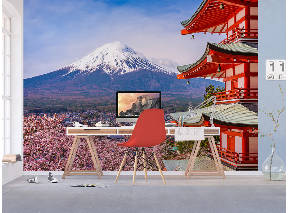 Moderní fototapeta - Kvetoucí sakura v Japonsku - 360x270 cm