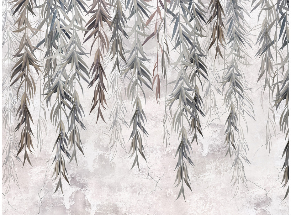 Moderní fototapeta - Vrbové větve na šedé zdi - 360x270 cm