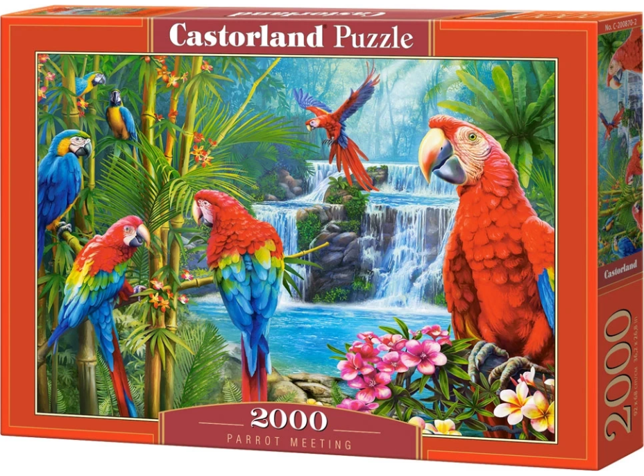 CASTORLAND Puzzle Setkání papoušků 2000 dílků
