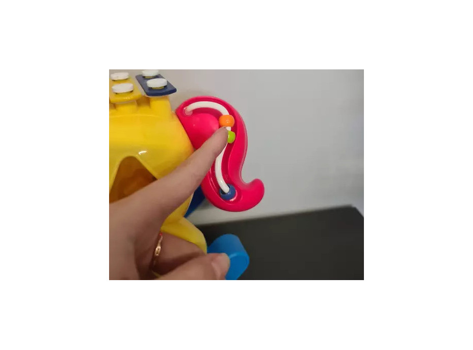 Interaktivní koník