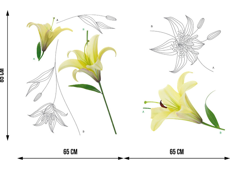 Moderní samolepka na zeď - Lilie - 65x85 cm
