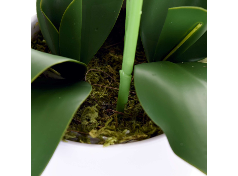 Umělá orchidej 65 cm