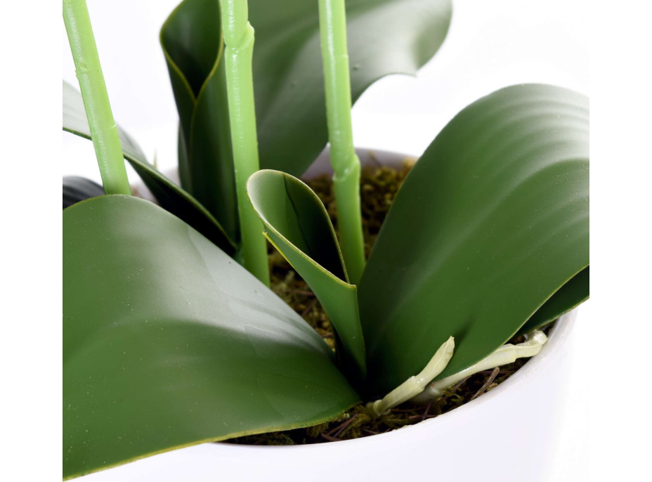 Umělá orchidej 65 cm
