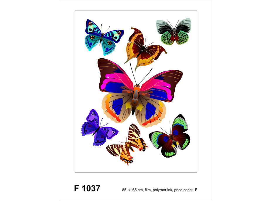 Moderní samolepka na zeď - Barevní motýli - 65x85 cm