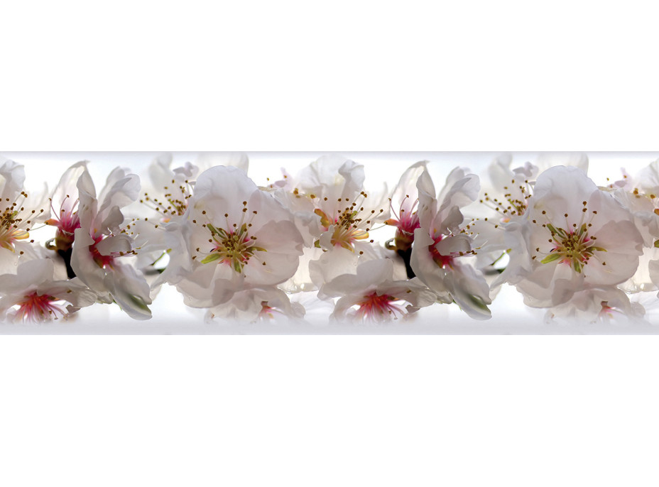Moderní samolepící bordura - Něžné květy jabloní - 14x500 cm