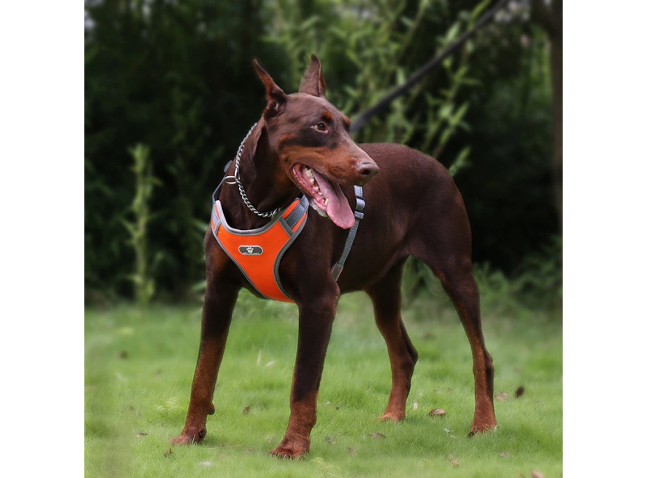 Beztlakový postroj pro psa ASTRO - pomerančový - rozměr L