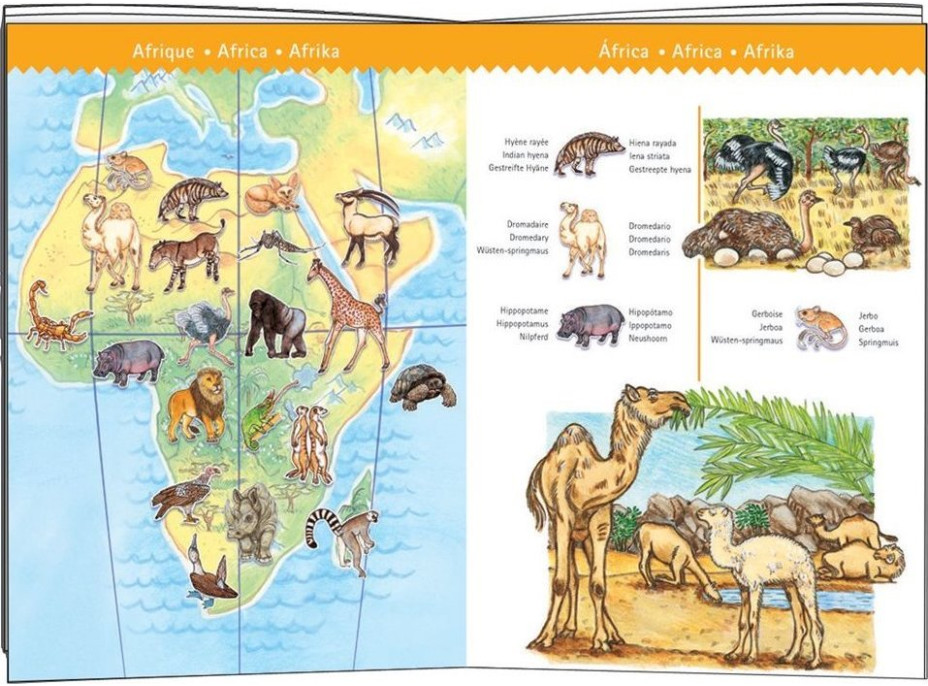 DJECO Puzzle Observation: Zvířata z celého světa 100 dílků