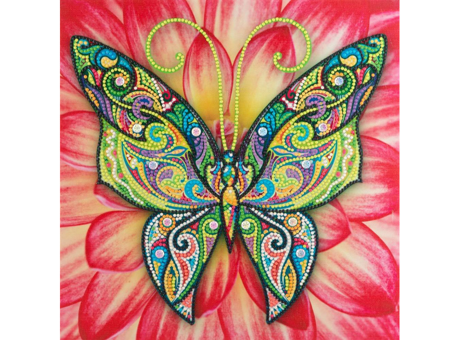 Diamantové malování Orient - Motýl