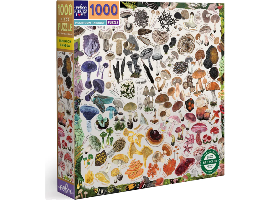EEBOO Čtvercové puzzle Houbová duha 1000 dílků