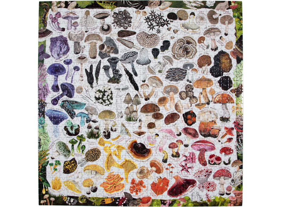EEBOO Čtvercové puzzle Houbová duha 1000 dílků