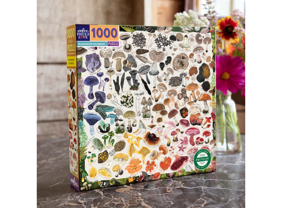 EEBOO Čtvercové puzzle Houbová duha 1000 dílků