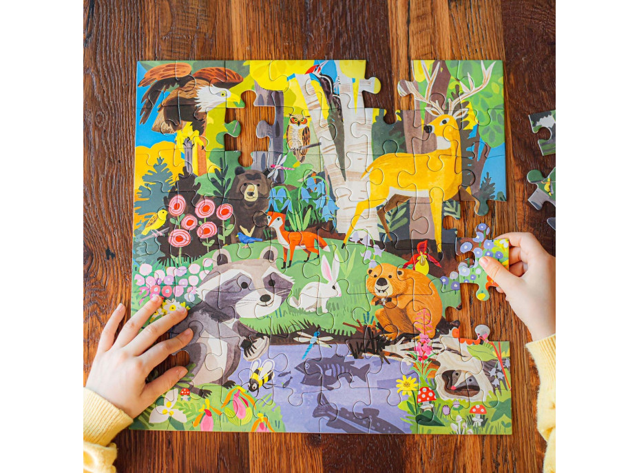 EEBOO Čtvercové puzzle Les 64 dílků