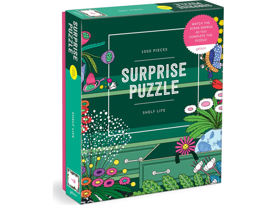 GALISON Surprise puzzle Život na poličce 1000 dílků