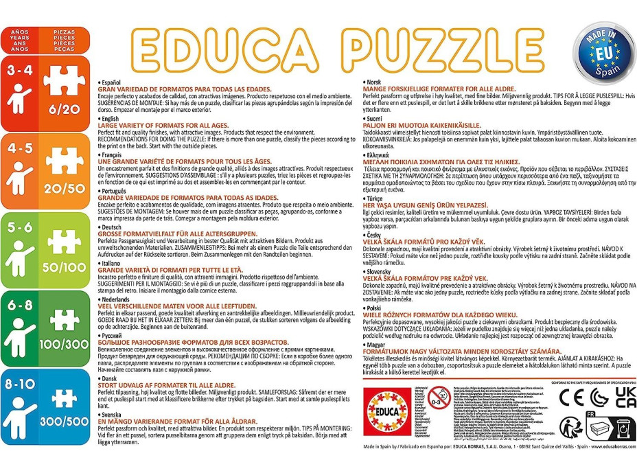 EDUCA Puzzle Lesní příběhy 2x20 dílků