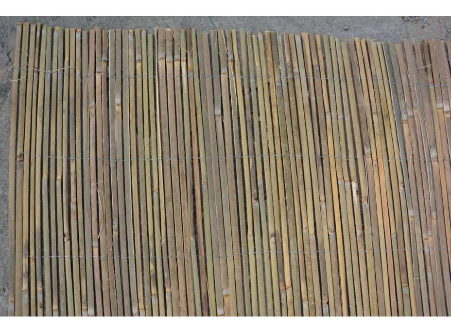 Bambusová zástěna 1,2 x 3 m