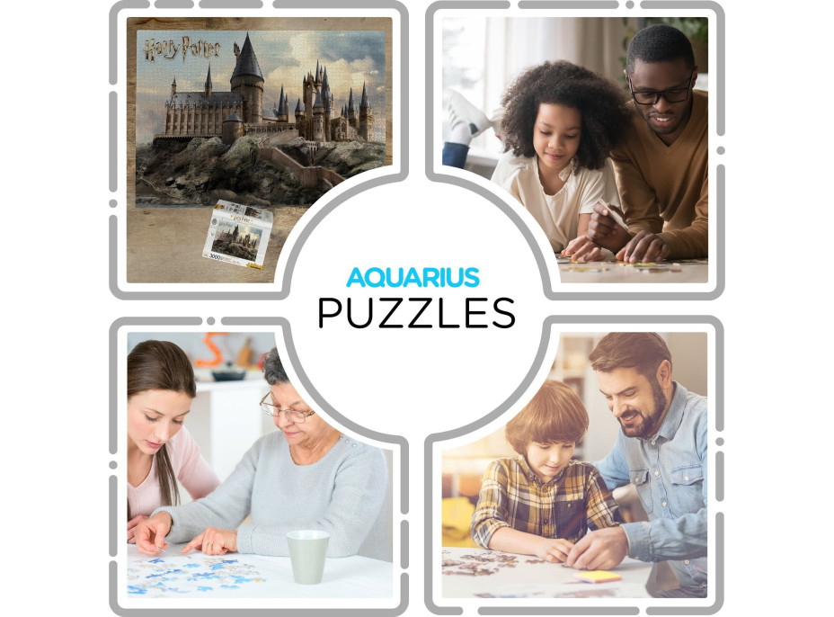 AQUARIUS Puzzle Harry Potter: Bradavice 3000 dílků