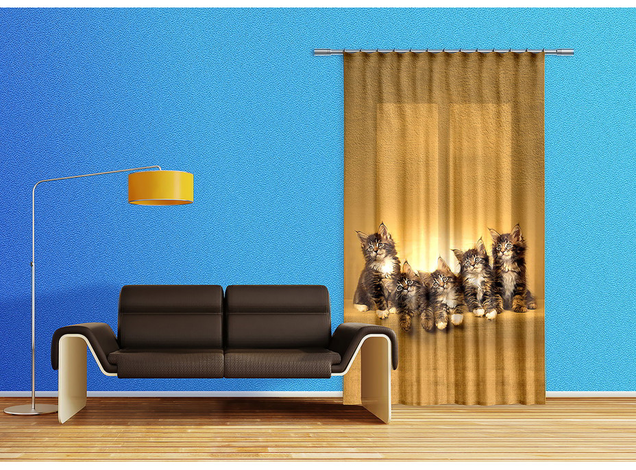 Designový závěs - Kočky - 140x245 cm